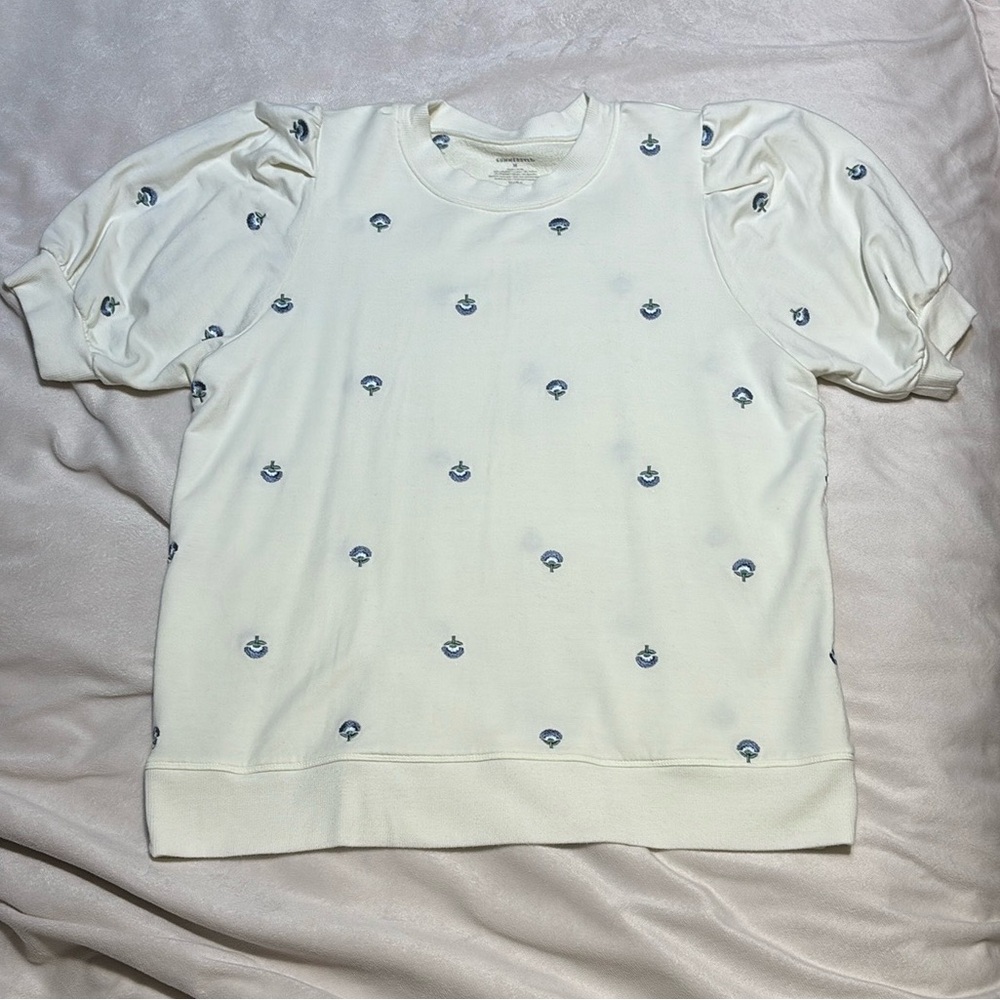 White Short Sleeve Top with Blue Embroidery